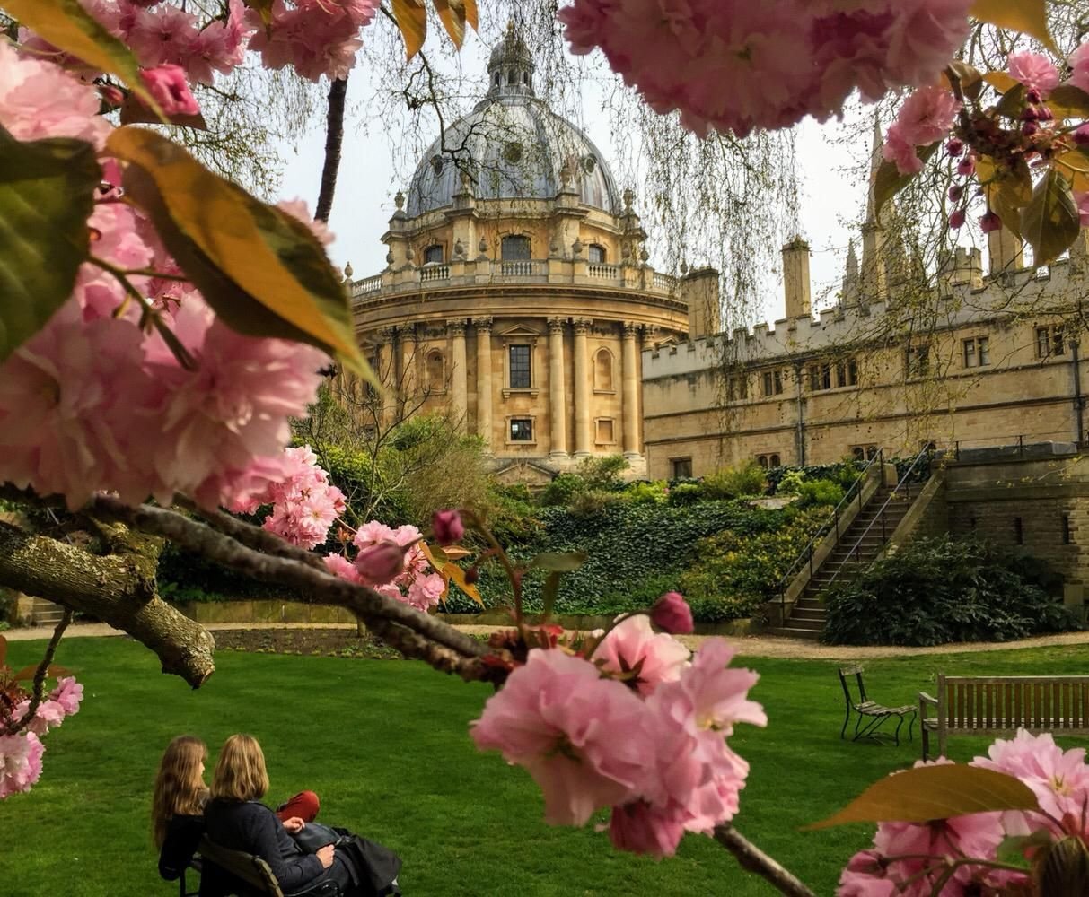 Oxford Tour Guide Iain Radcliffe Camera From Exeter College Fellows Garden